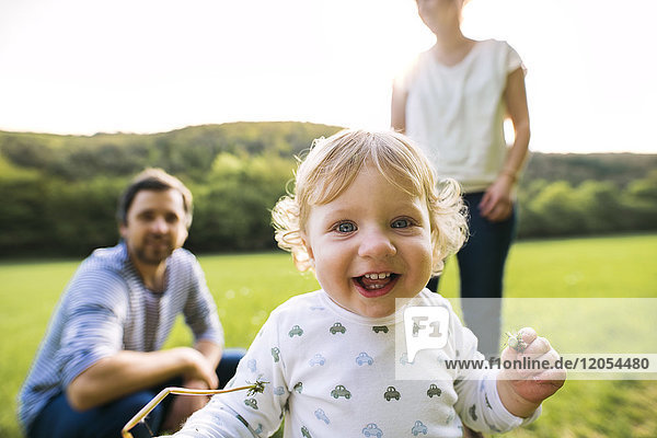 Cute little boy on meadow with parents in background