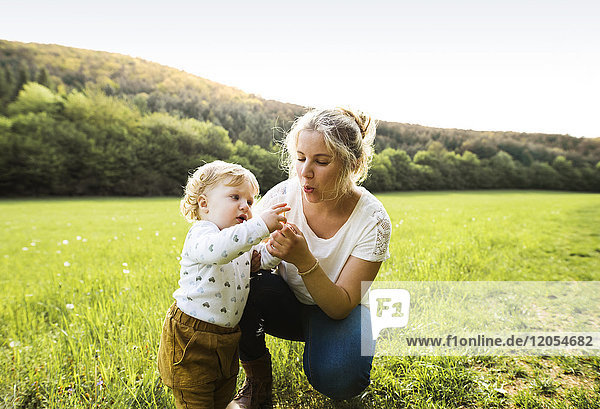 Cute little boy with mother on meadow