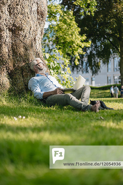 Erwachsener Mann mit Laptop entspannt im Park