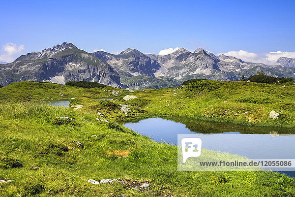 Österreich  Steiermark  Murau  Alpen und See im Vordergrund