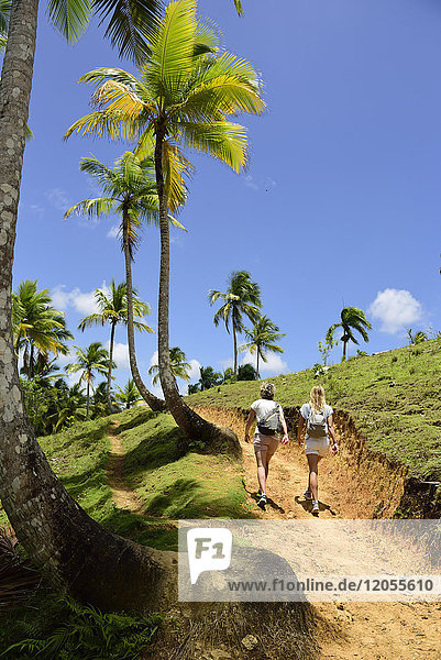 Dominican Republic  Samana  two women hiking on path with palm trees