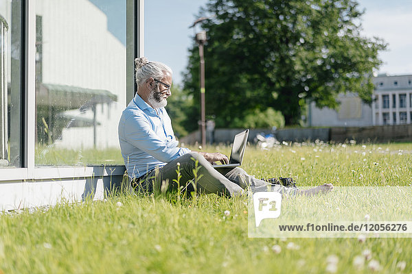 Mature man using laptop on meadow