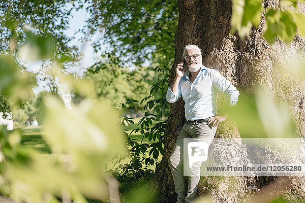 Reifer Mann auf dem Handy  der sich gegen den Baum lehnt