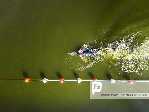 Aerial view of man swimming in a lake