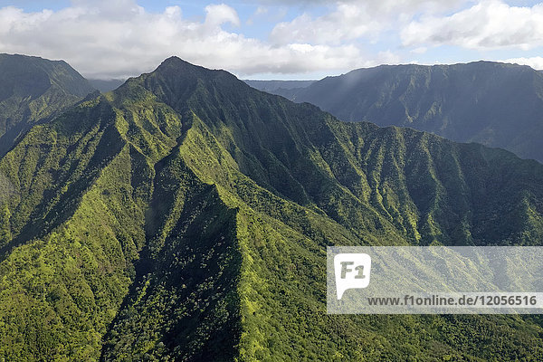 USA  Hawaii  Kauai  Halelea Forest Reserve  Luftaufnahme