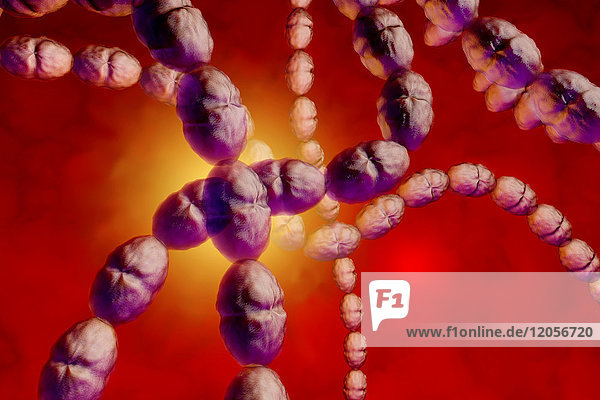 3D gerenderte Darstellung einer anatomisch korrekten Konvergenz zu Streptokokkenbakterien
