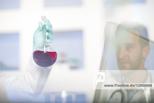 Mann untersucht Rundkolben mit Flüssigkeit im Labor