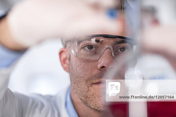 Scientist working in lab