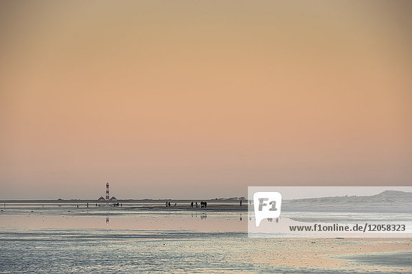 Strand, Sankt Peter-Ording, Schleswig-Holstein, Deutschland, Europa