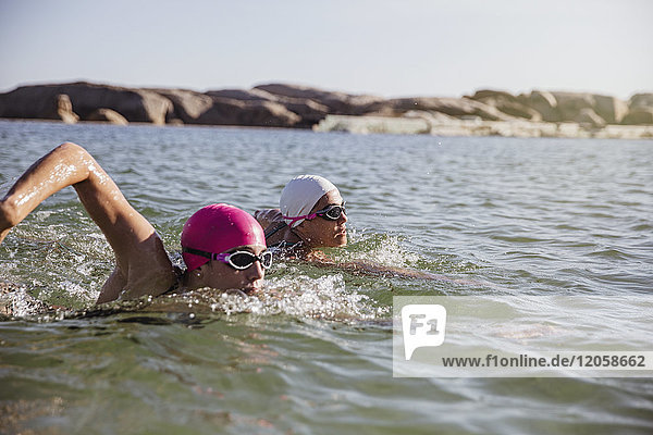 Entschlossene  fokussierte Schwimmerinnen  die im sonnigen Meer schwimmen.