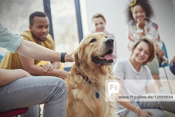 Menschen streicheln Hund in der Gruppe Therapie-Sitzung