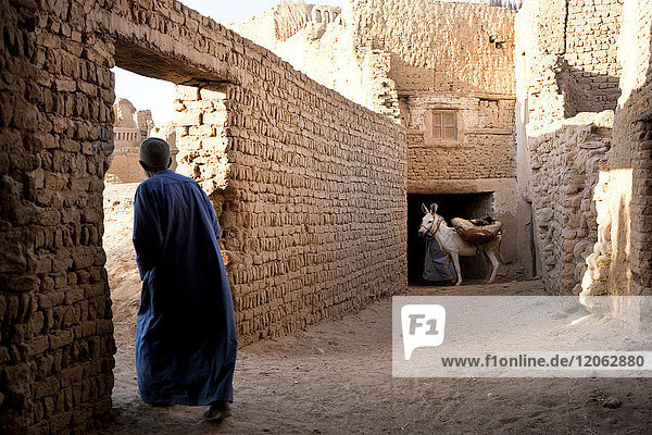Rear view of man wearing caftan walking through wall doorway  donkey in background.