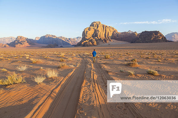 Rückansicht eines Wanderers in einer Wüstenlandschaft mit Reifenspuren  die zu einem fernen Berg führen.