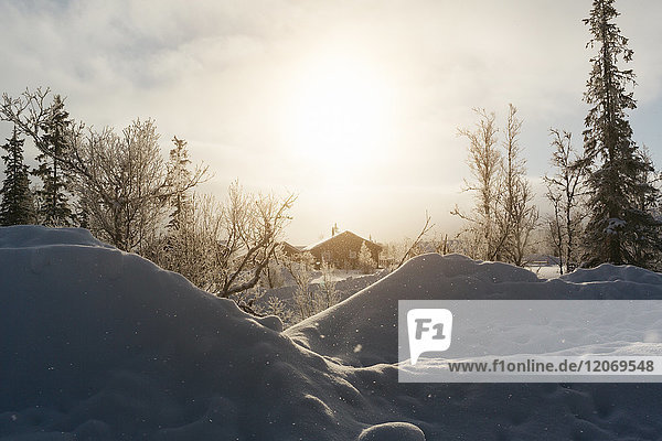 Winter sunset in Harjedalen Sweden