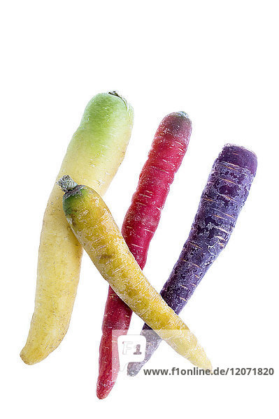 Colorful carrots .