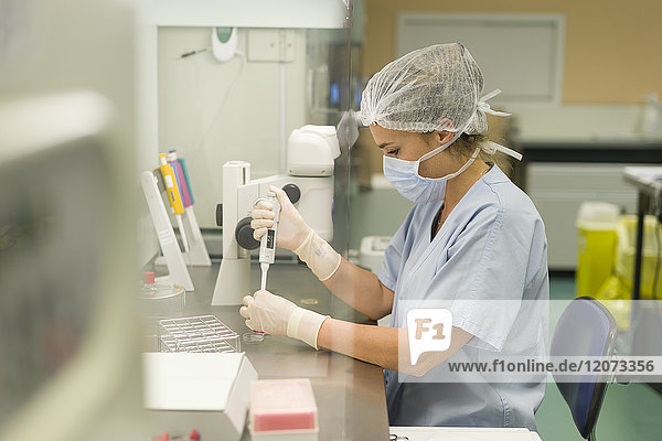 Reportage in der Abteilung für Reproduktionsbiologie im Krankenhaus von Nizza  Frankreich. Im ART-Labor (assistierte Reproduktionstechnologie). Vorbereitung der Schalen für die ICSI-Befruchtung.