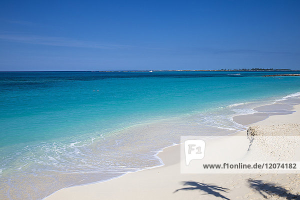 Schatten von Palmen am Cabbage Beach  Paradise Island  Nassau  Bahamas  Westindien  Karibik  Mittelamerika