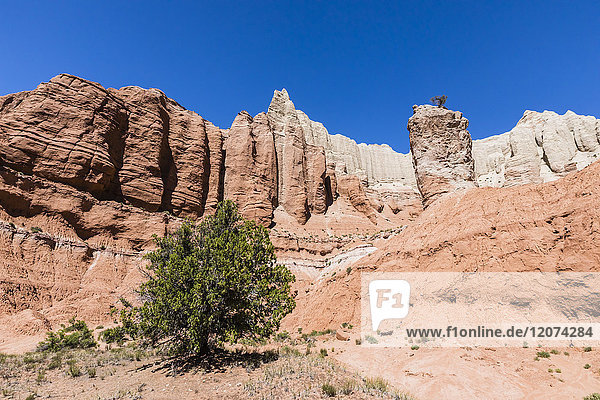 Rote Sandsteinformationen auf dem Grand Parade Trail  Kodachrome Basin State Park  Utah  Vereinigte Staaten von Amerika  Nordamerika
