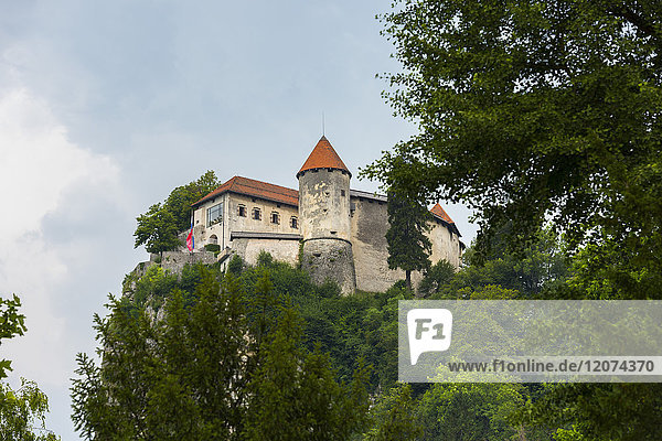 Schloss Bled  Bled  Slowenien  Europa