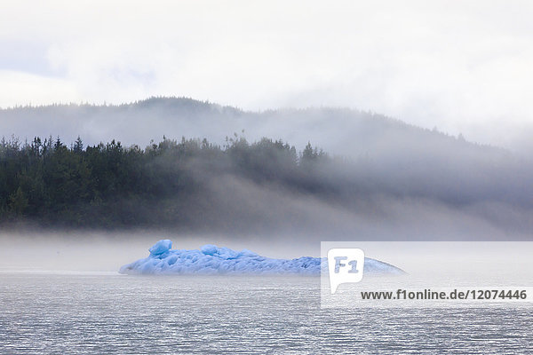 Leuchtend blauer Eisberg vom Mendenhall-Gletscher  umgeben von Nebel auf dem Mendenhall-See  Juneau  Alaska  Vereinigte Staaten von Amerika  Nordamerika