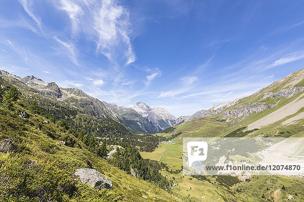 Grüne Wiesen rund um die hohen Gipfel der Schweizer Alpen  Albulatal  Kanton Graubünden  Schweiz  Europa
