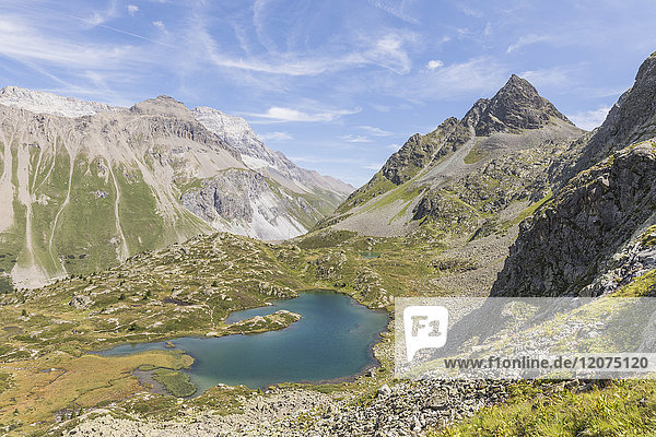 Türkisfarbener See zwischen felsigen Gipfeln und Wiesen  Crap Alv Lejets  Albulapass  Kanton Graubünden  Schweizer Alpen  Schweiz  Europa