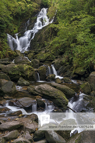 Torc-Wasserfall  Grafschaft Kerry  Munster  Republik Irland  Europa