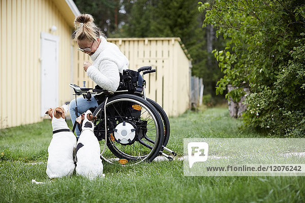 Behinderte junge Frau im Rollstuhl mit Blick auf Hunde im Hof