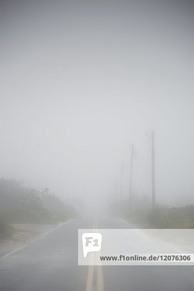 USA  Massachusetts  Nantucket Island  Straße im Nebel
