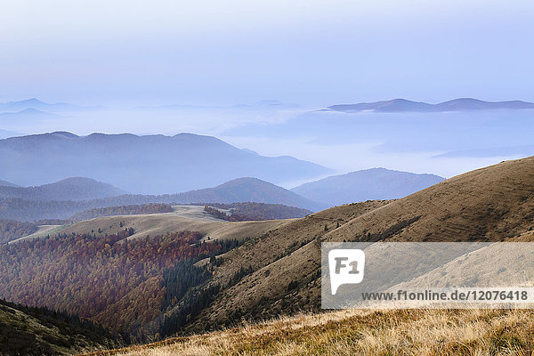 Ukraine  Gebiet Zakarpattia  Bezirk Rachiw  Karpaten  Chornohora  Sheshul  Berglandschaft mit Nebel