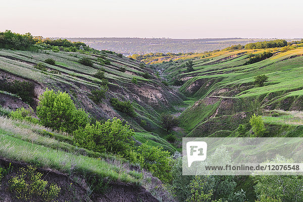 Ukraine  Region Dnepropetrowsk  Stadt Dnepropetrowsk  Durch geologische Erosion entstandene grüne Landschaft