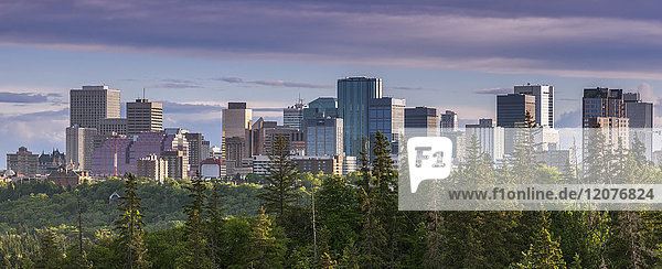 Kanada  Alberta  Edmonton  Stadtbild mit Bäumen im Vordergrund