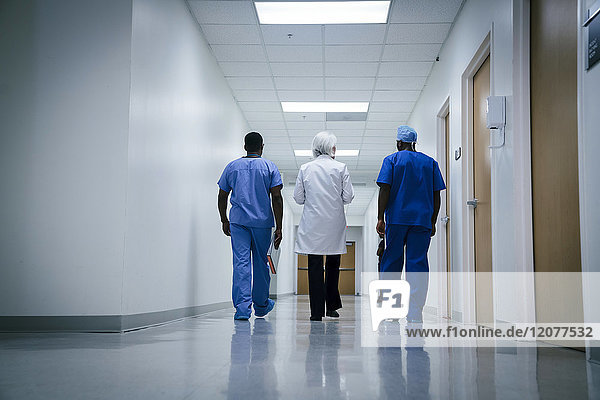 Arzt und Krankenschwestern gehen im Krankenhaus spazieren