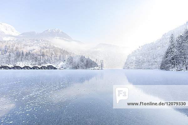 Deutschland  Berchtesgadener Land  Blick auf zugefrorenen Königssee und Berchtesgadener Alpen