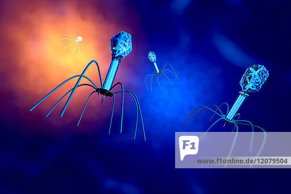 3D gerendert Darstellung einer anatomisch korrekten Konvergenz zu einer Gruppe von Bakteriophagenviren