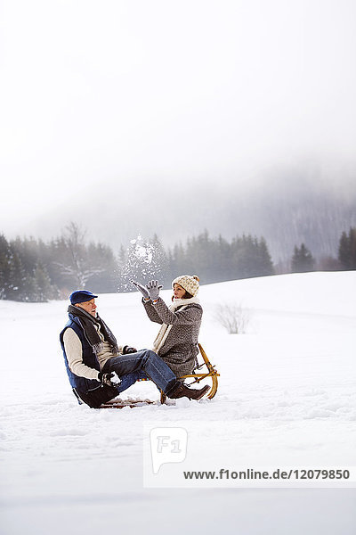 Senior couple with sledge having fun in snow-covered landscape
