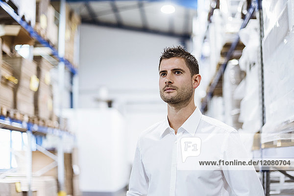 Businessman standing in warehouse  portrait