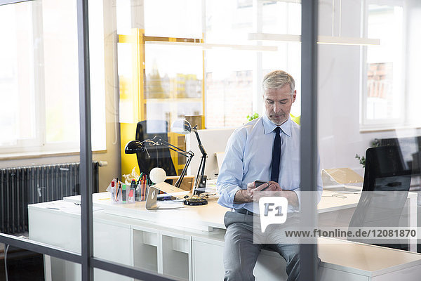 Mature businessman sitting office   using smartphone  reading messages