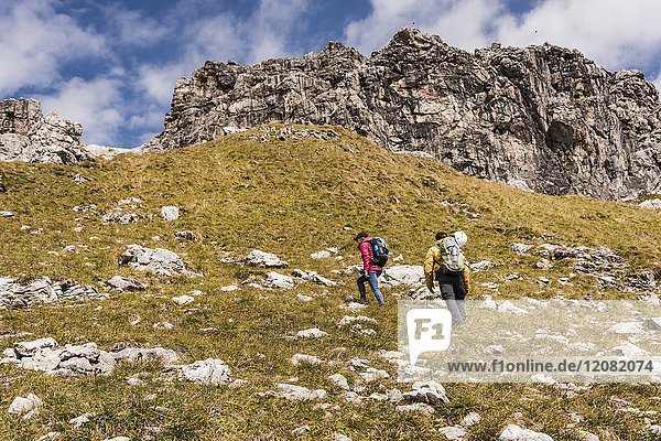 Germany  Bavaria  Oberstdorf  two hikers walking up alpine meadow