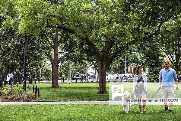Washington DC  District of Columbia  Dupont Circle  park  man  woman  dog  pet  walking  leash  trees
