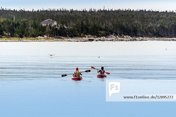 Two kayakers  a man and a woman  paddle their kayaks in a cove of the Atlantic Ocean  Halifax  Nova Scotia.