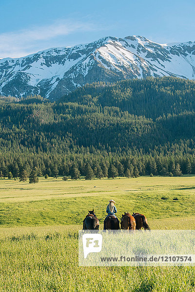 Teenager-Mädchen führt vier Pferde durch einen schneebedeckten Berg  Enterprise  Oregon  Vereinigte Staaten  Nordamerika