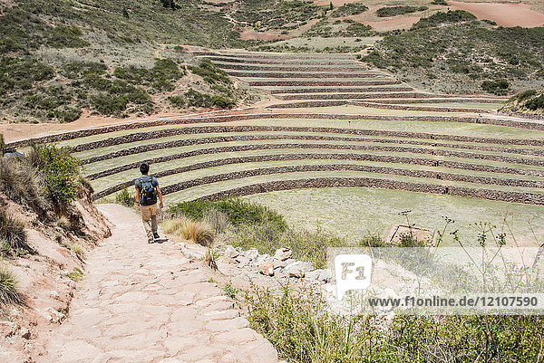 Mann erkundet die Moray-Ruinen in Maras  Cusco  Peru  Südamerika