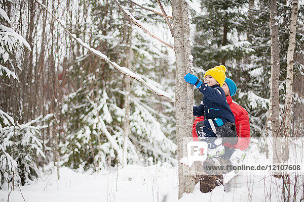 Man helping son climb tree in snow covered forest