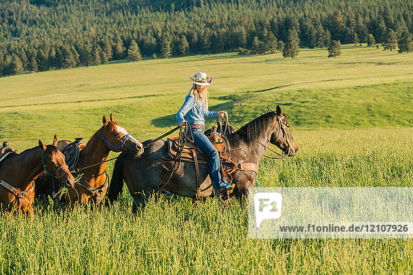 Teenagerin führt vier Pferde an  Enterprise  Oregon  Vereinigte Staaten  Nordamerika