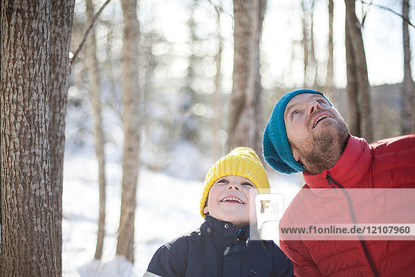 Mann und Sohn schauen aus dem schneebedeckten Wald auf
