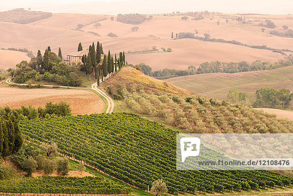 Rolling landscape with vineyard and farmhouse Tuscany Italy