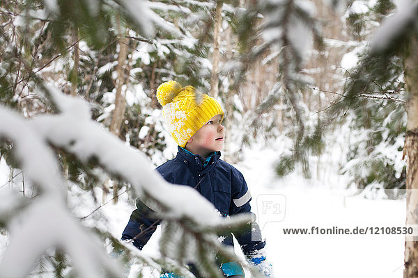 Junge mit gelber Strickmütze  der in den verschneiten Wald starrt