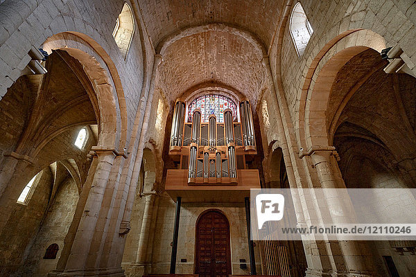 Inneres der Königlichen Abtei Santa Maria de Poblet  Vimbodi  Katalonien  Spanien  Europa