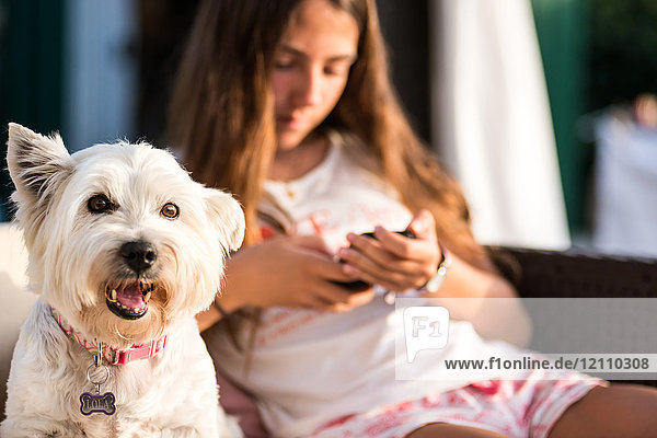 Porträt eines süßen weißen Hundes und einer Teenagerin  die ihr Smartphone auf einem Terrassenstuhl betrachtet